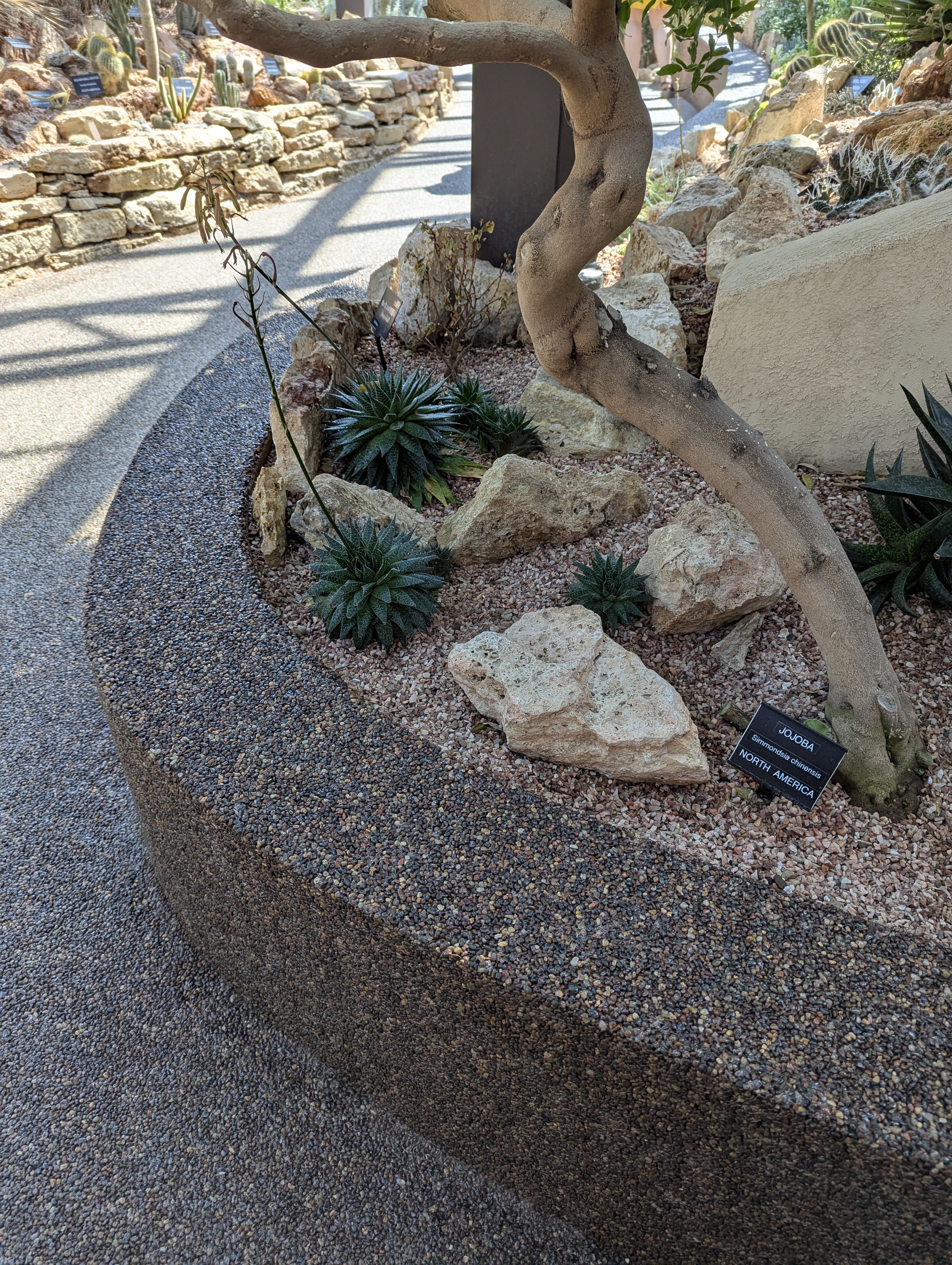 Birthday Trip to Canada, Edmonton, Pyramids, Muttart Observatory